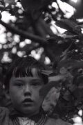 An Untitled Film