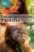 The secret life of Primates