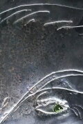 Sliver Cave