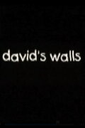 David's Walls