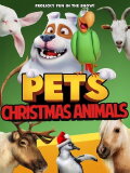 Pets: Christmas Animals