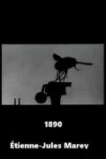Flight of the Large Blue Fly