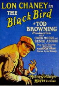 The Blackbird