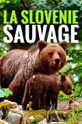 Wild Slovenia