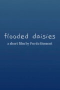 flooded daisies