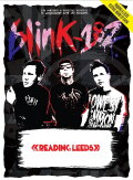 blink-182: Live at Reading Festival