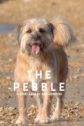 The Pebble