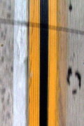 Yellow Line