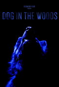 Dog in the Woods