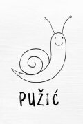 Snail the Painter