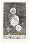 Histoires naturelles : Max Ernst