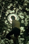 Moth