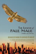 The Legend of Pale Male