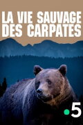La Vie sauvage des Carpates