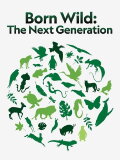 Born Wild: The Next Generation