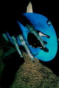 Eyeless Jack