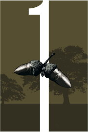 1 1