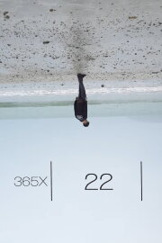 365x: 22