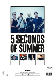 5 Seconds of Summer - Rock in Rio Ao Vivo 5 Seconds of Summer - Rock in Rio Ao Vivo