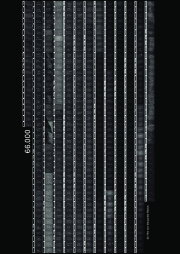 66000 66000