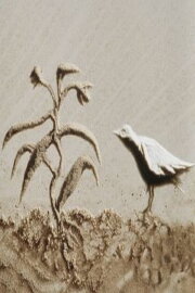 A Bird A Bird
