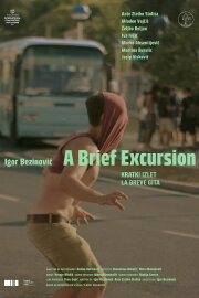 A Brief Excursion A Brief Excursion
