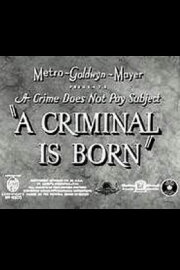 A Criminal Is Born