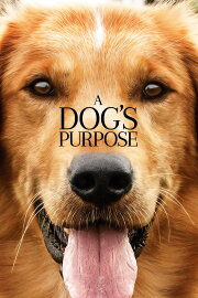A Dog's Purpose A Dog's Purpose