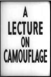 A Lecture on Camouflage A Lecture on Camouflage