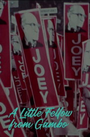 A Little Fellow from Gambo: The Joey Smallwood Story A Little Fellow from Gambo: The Joey Smallwood Story