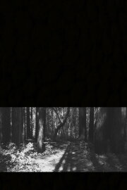 A Mere Shadow
