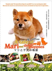 A Tale of Mari and Three Puppies A Tale of Mari and Three Puppies