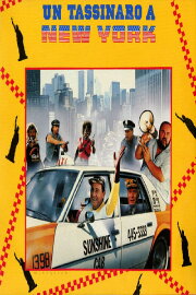 A Taxi Driver in New York