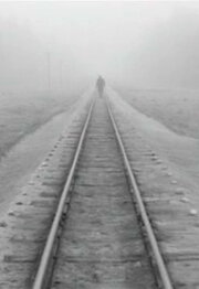 A Trip Across Misty Meadows