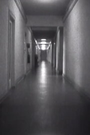 Abbilder des Todes