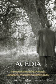 Acedia