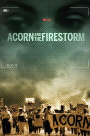Acorn and the Firestorm
