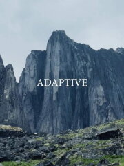 Adaptive