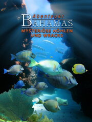 Adventure Bahamas 3D - Mysterious Caves And Wrecks