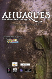 Ahuaques, the water elves
