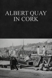 Albert Quay in Cork Albert Quay in Cork