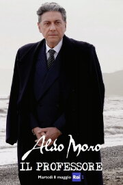 Aldo Moro - il Professore Aldo Moro - il Professore