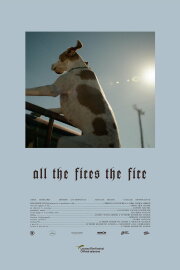 All the Fires the Fire All the Fires the Fire