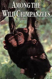 Among the Wild Chimpanzees Among the Wild Chimpanzees