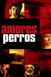Amores Perros Amores Perros