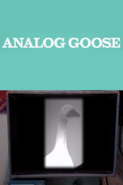 Analog Goose Analog Goose