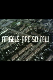 Angels Are So Few