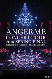 ANGERME Concert Tour 2019 Haru Final
