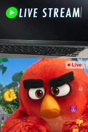 Angry Birds: Live Stream Angry Birds: Live Stream