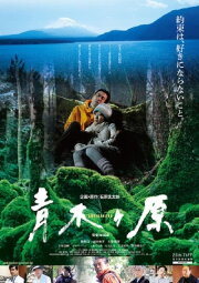 Aokigahara